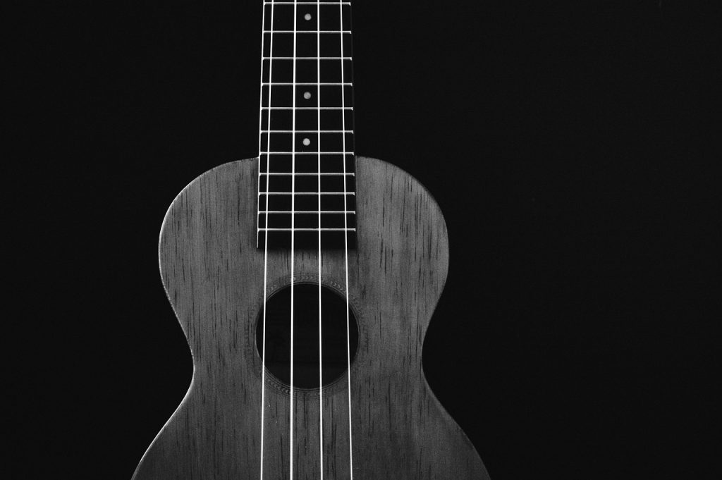 Music-Gear-Life ukulele sales