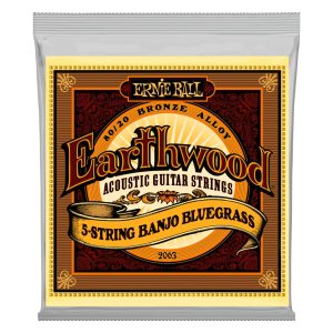 Earthwood 5-String Banjo Bluegrass Loop End 80/20 Bronze Acoustic Guit