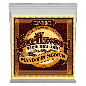 Earthwood Mandolin Medium Loop End 80/20 Bronze Acoustic Guitar String