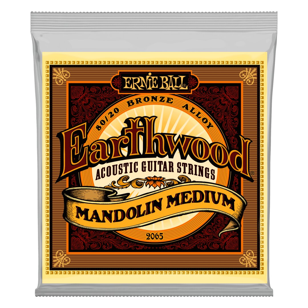 Earthwood Mandolin Medium Loop End 80/20 Bronze Acoustic Guitar String