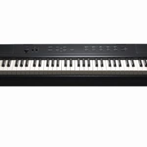 Kurzweil Ka E1 88-Key Weighted Hammer Action Digital Piano with 20 flagship Voices + Power Supply + Sustain Pedal (Black)
